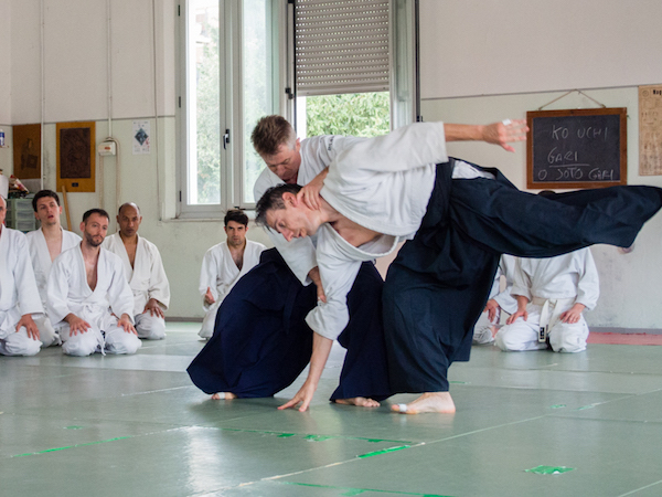 dojo pesaro